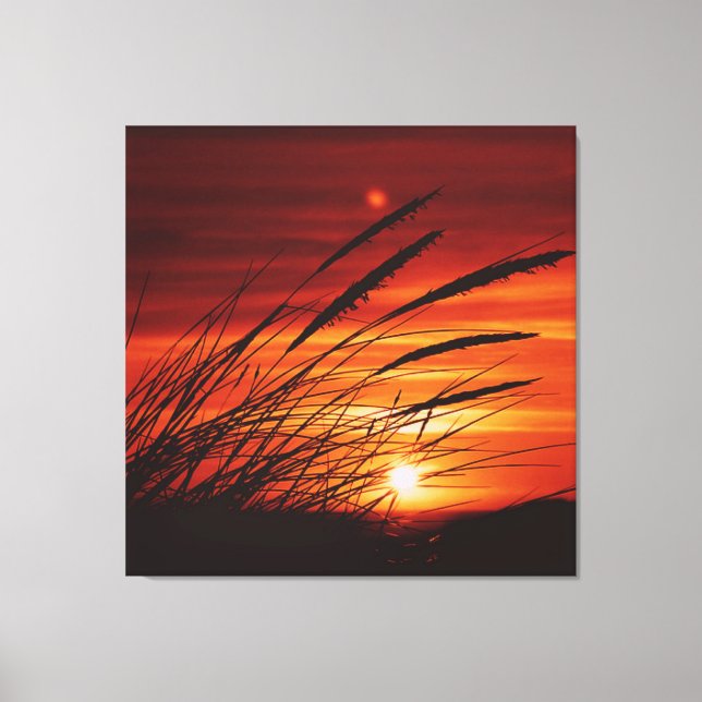 Lienzo Corn (Anverso)