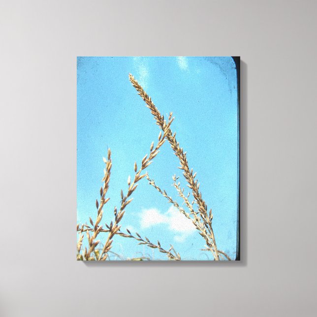 Lienzo Corn Tassel (Anverso)