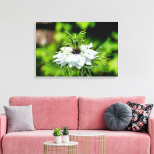 Lienzo Cornflower