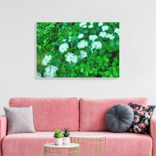 Lienzo Cornus sanguinea