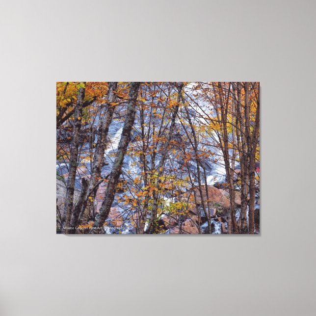 Lienzo Corriente de Otoño (Anverso)