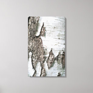 Lienzo Corteza de Birch
