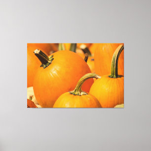LIENZO COSECHA DE CALABAZAS 60 X 40 LONA ENVUELTA