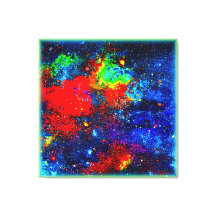 Cosmos de arbusto de colores. ¡Hazte con una en Za