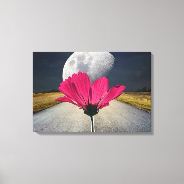 Lienzo Cosmos de Spacey (Anverso)