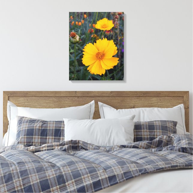 Lienzo Cosmos naranja En La Fotografía De Primer Plano (Insitu(Dormitorio))