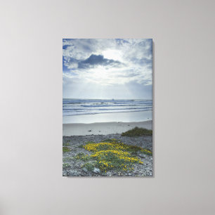 Lienzo Costa costa de España con las flores y los haces