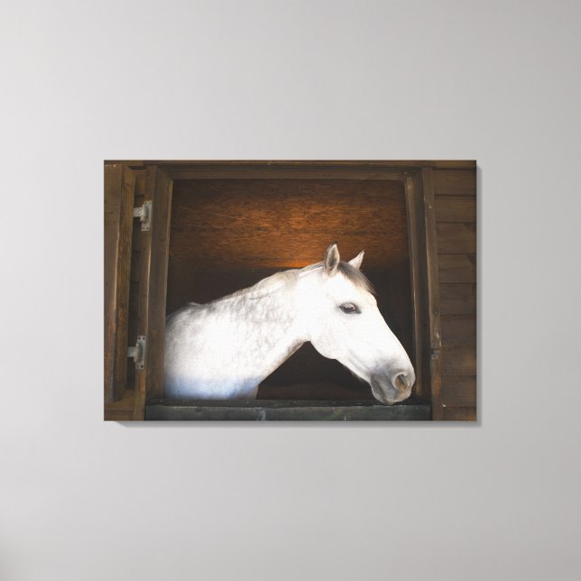 Lienzo costa de benalamadena, malaga, costa del sol, 3 (Anverso)