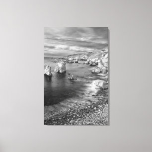 Lienzo Costa de la playa en blanco y negro, California