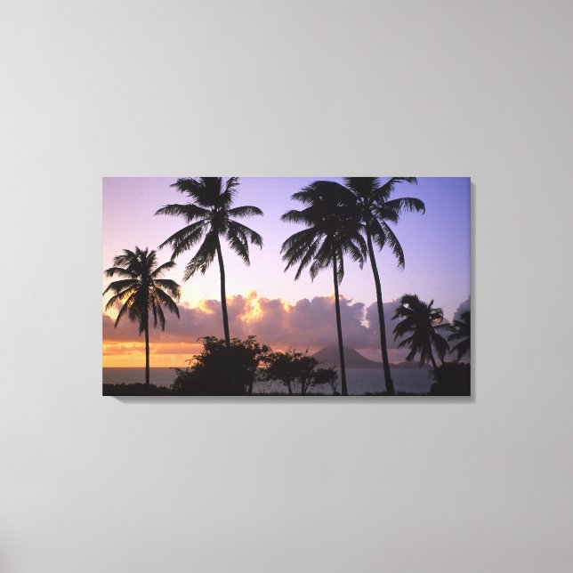 Lienzo Costa de San Cristóbal (Anverso)