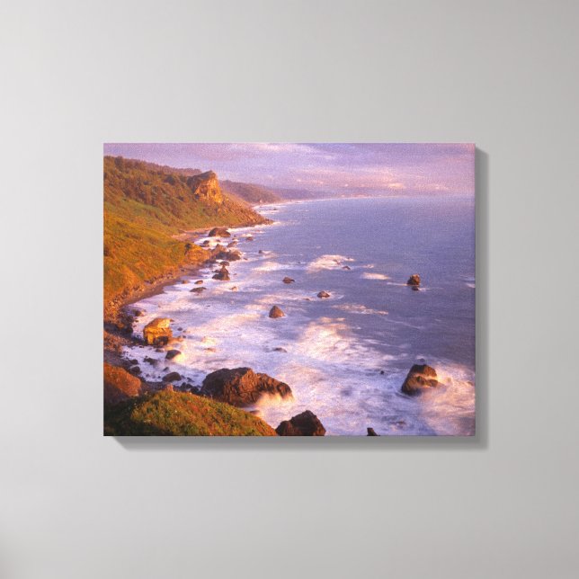 Lienzo Costa de secuoyas, California (Anverso)