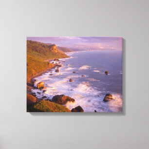 Lienzo Costa de secuoyas, California