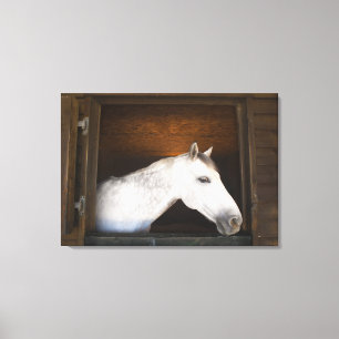 Lienzo costa del benalamadena, Málaga, Costa del Sol, 3