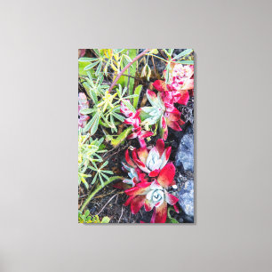 Lienzo Costa Dudleya En El Mar Nacional De Point Reyes