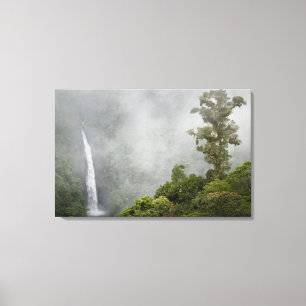 Lienzo Costa Rica, bosque nuboso en montañas cerca de La