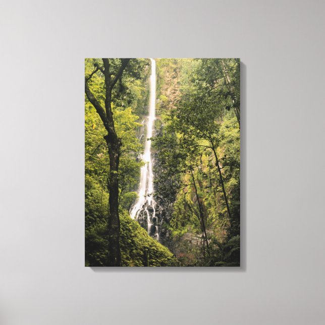 Lienzo Costa Rica, Isla del Coco, Cascada de Wafer Bay (Anverso)