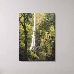 Lienzo Costa Rica, Isla del Coco, Cascada de Wafer Bay