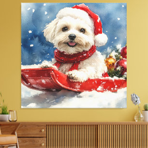 Lienzo Coton De Tulear en Trineo Deja que nieve Navidad