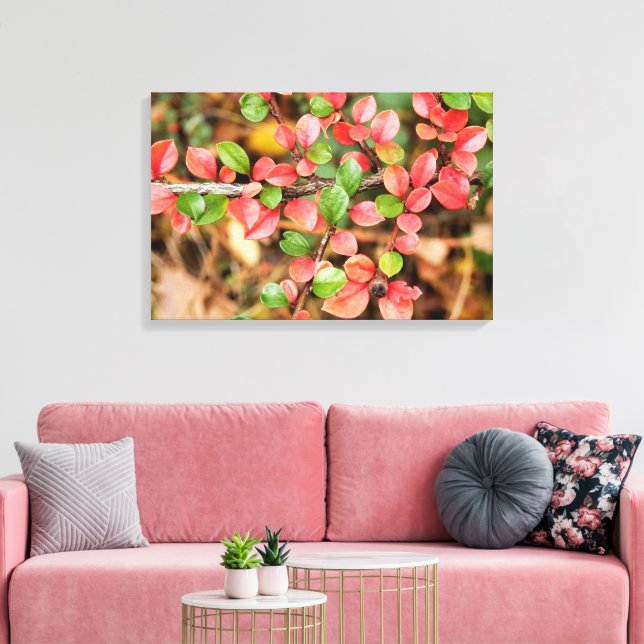 Lienzo Cotoneaster horizontalis (Insitu (Sala de estar))