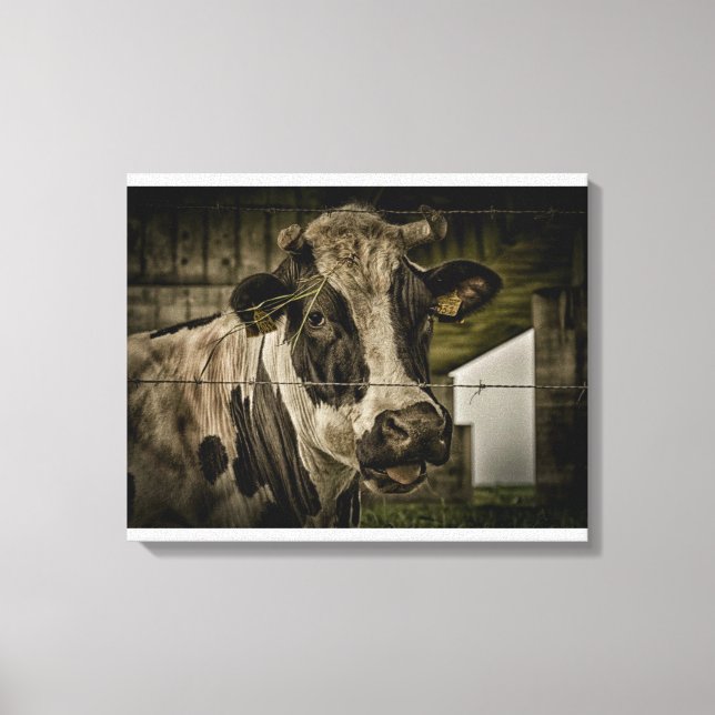 Lienzo cow (Anverso)