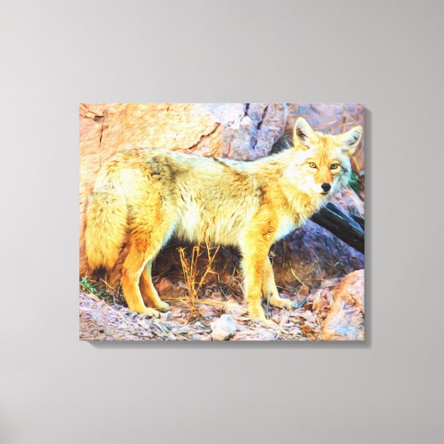 Lienzo Coyote de Yellowstone (Anverso)