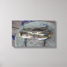 Lienzo Crab azul Chesapeake Bay Canvas Art