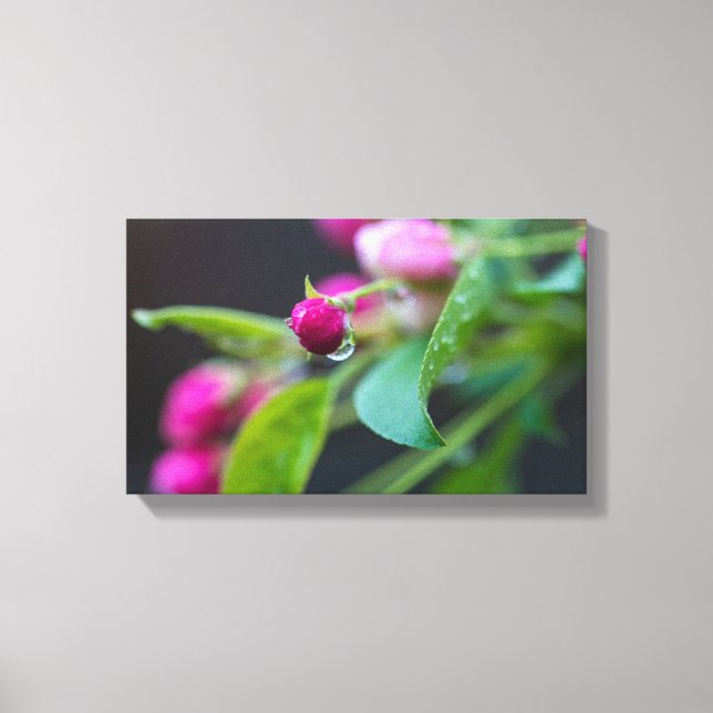Lienzo Crabapple Blossum (Anverso)