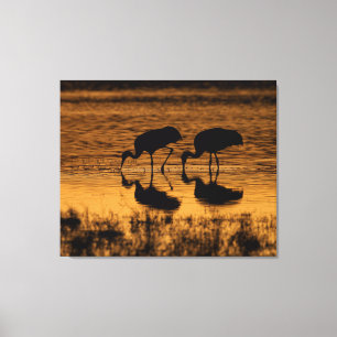 Lienzo Cranes Silhouetted by the Sunset