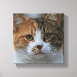 Lienzo Crea tu propia foto personalizada de tu gato masco