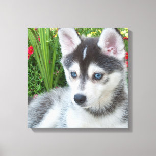 Lienzo Crea tu propia foto personalizada de tu mascota