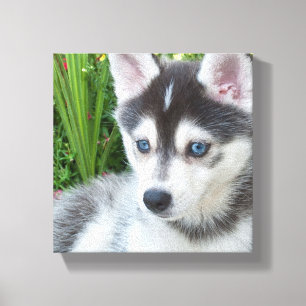 Lienzo Crea tu propia foto personalizada de tu mascota
