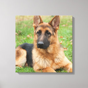 Lienzo Crea tu propia foto personalizada de tu mascota