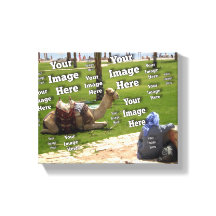 🤍 Crear su propia plantilla de Personalizado