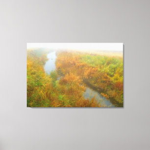 Lienzo Creek de niebla