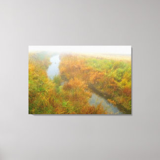 Lienzo Creek de niebla