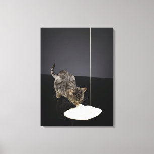 Lienzo Crema de consumición de plata del gato de tabby