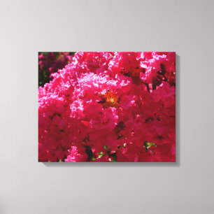 Lienzo Crepe Myrtle Tree Magenta Floral