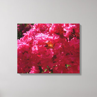 Lienzo Crepe Myrtle Tree Magenta Floral