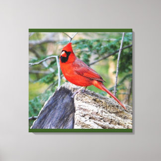 Lienzo Crimson Cardinal Woods