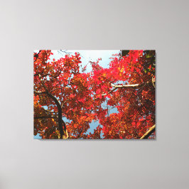 Lienzo Crimson Myrtle #2