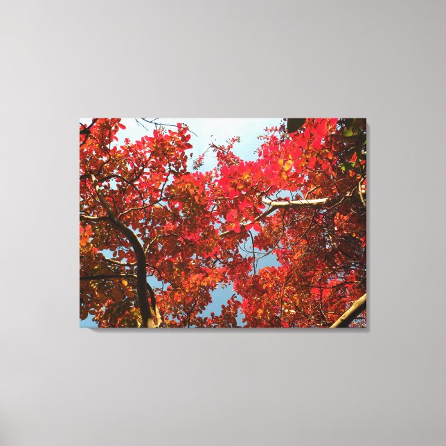 Lienzo Crimson Myrtle #2 (Anverso)