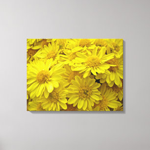 Lienzo Crisantemo Amarillo Sunshine
