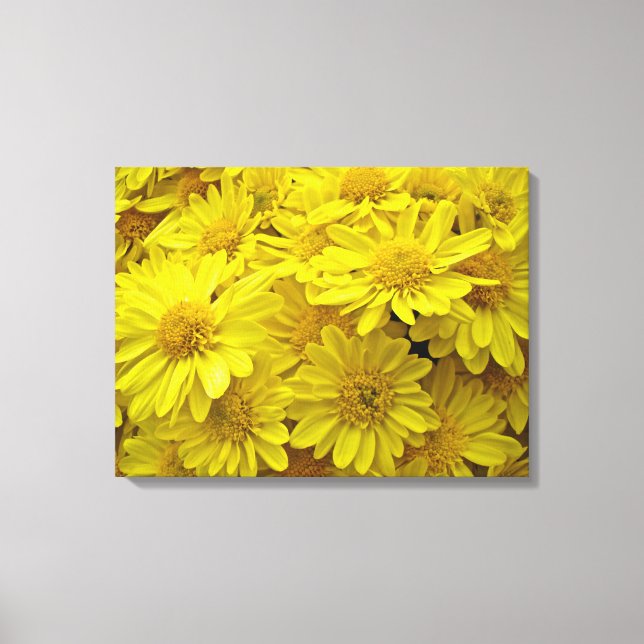 Lienzo Crisantemo Amarillo Sunshine (Anverso)