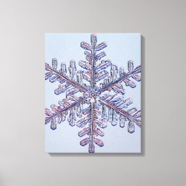 Lienzo Cristal de Snowflake (Anverso)