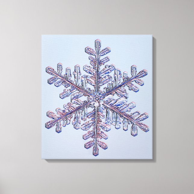 Lienzo Cristal de Snowflake (Anverso)