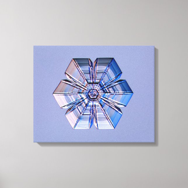 Lienzo Cristal de Snowflake (Anverso)