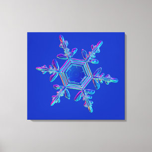 Lienzo Cristal de Snowflake 4