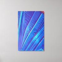 Cristales de ácido tartárico