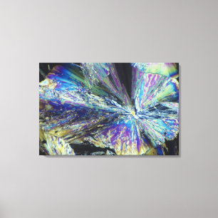 Lienzo Cristales del ácido cítrico en luz polarizada