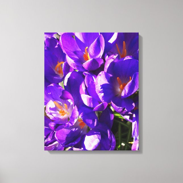 LIENZO CROCUS DE PRIMAVERA (Anverso)
